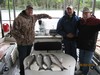 (05/03/2017) - Nice Striped Bass